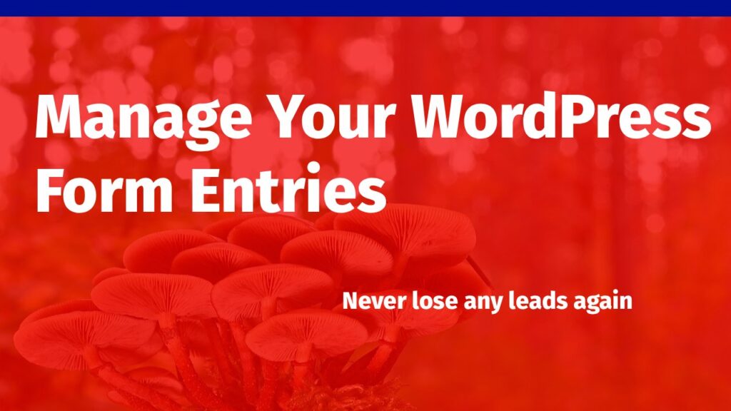 Manage Your WordPress Form Entries